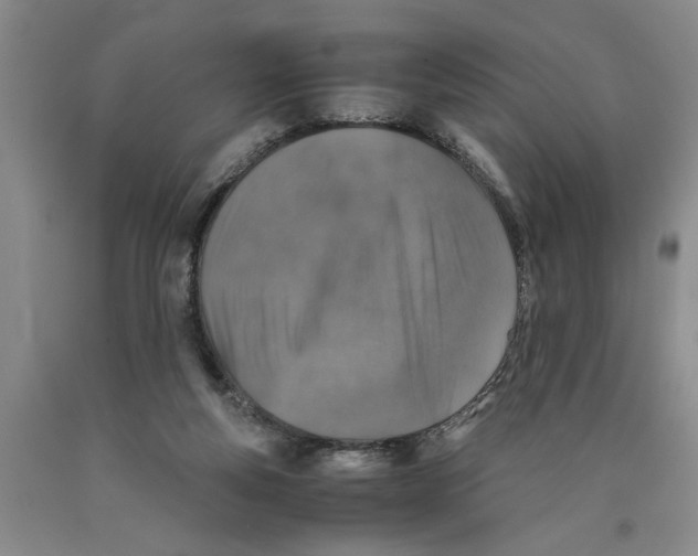 X0000089920163200707271743