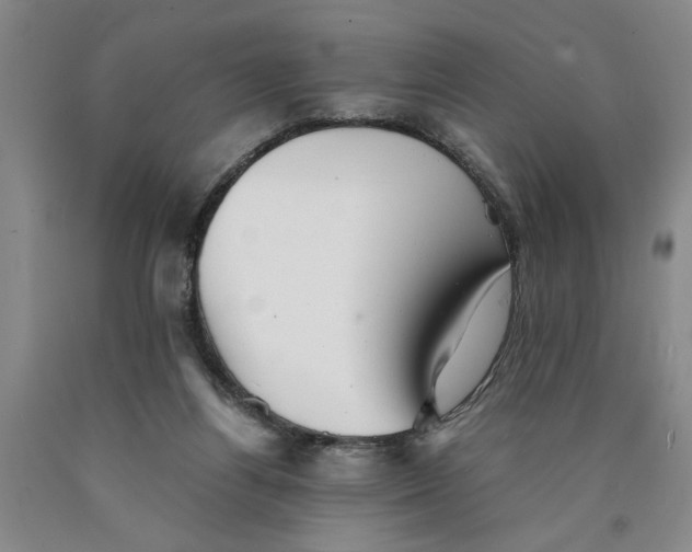 X0000089920164200707271743