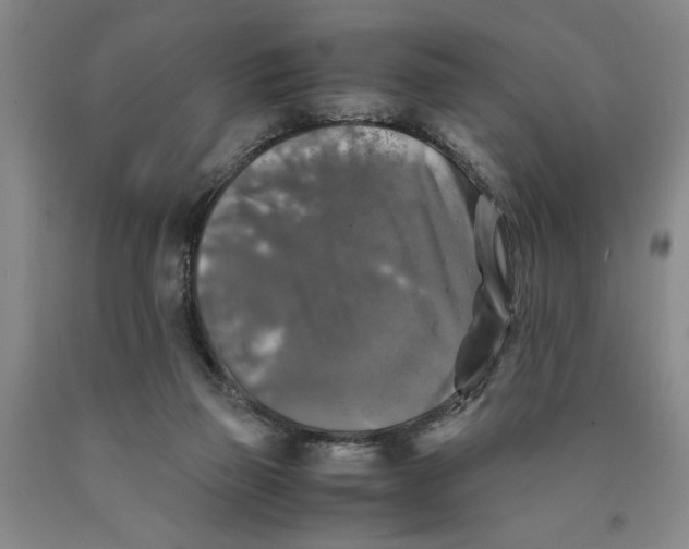 X0000089920165200707271743