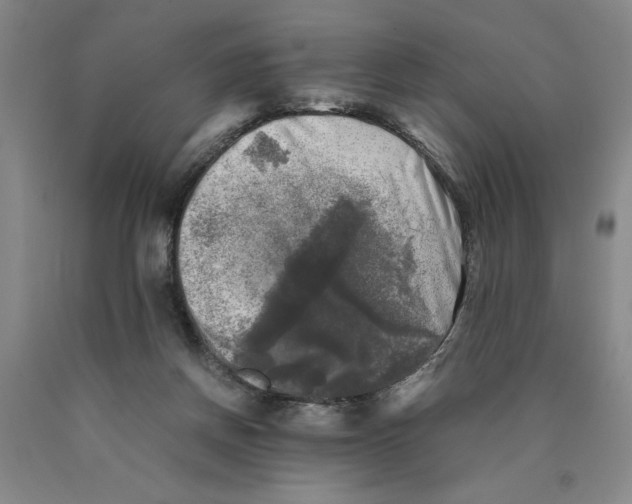 X0000089920166200707271743