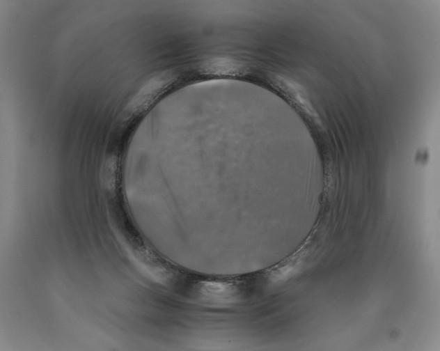 X0000089920167200707271743