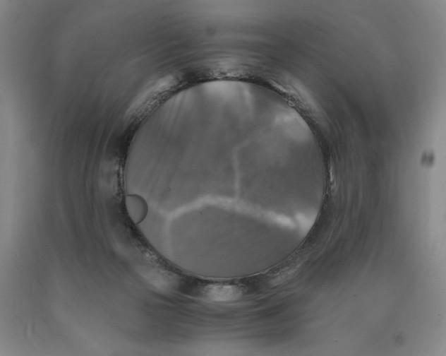 X0000089920169200707271743