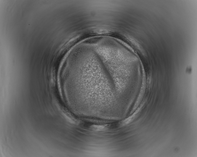 X0000089920170200707271743