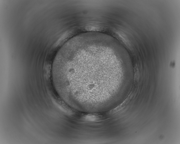 X0000089920171200707271743