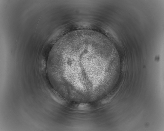 X0000089920173200707271744