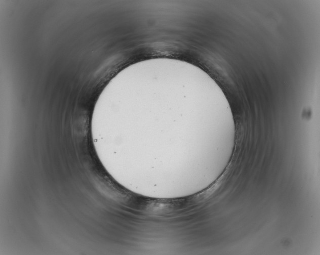 X0000089920174200707271744