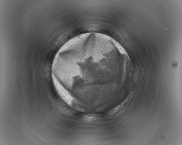 X0000089920175200707271744