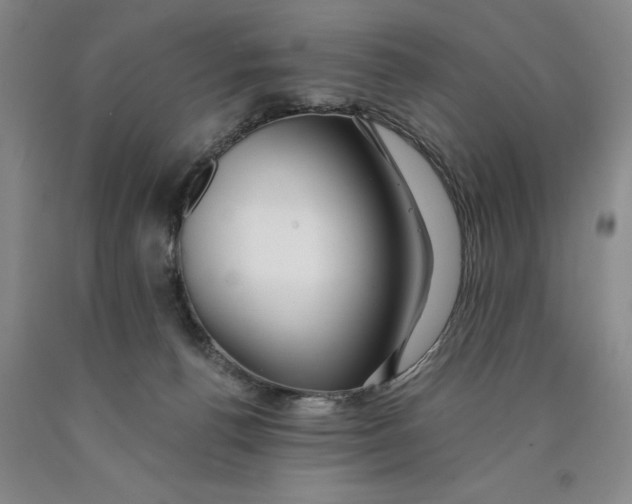 X0000089920176200707271744