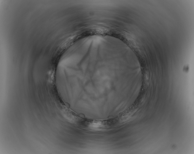 X0000089920177200707271744