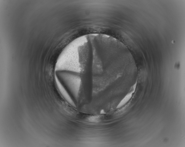 X0000089920178200707271744