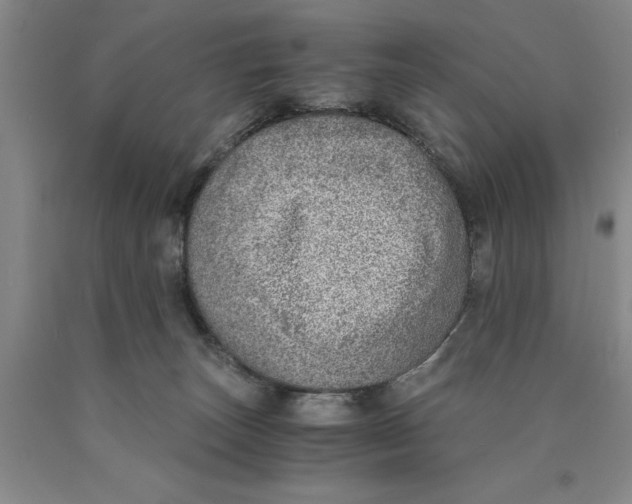 X0000089920179200707271744