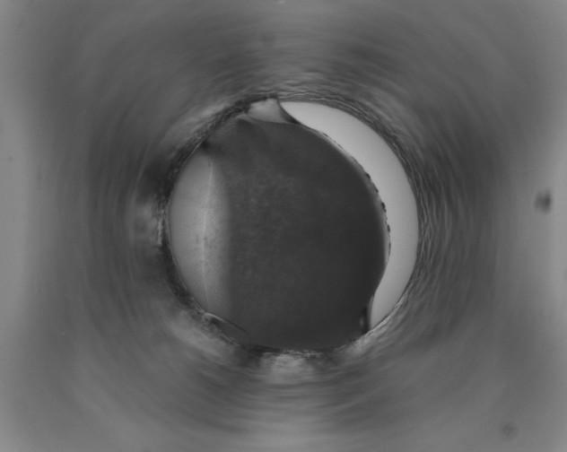 X0000089920180200707271744