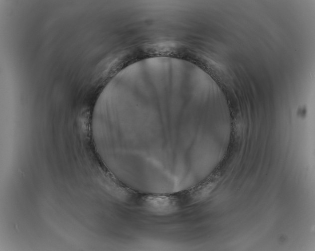 X0000089920181200707271744