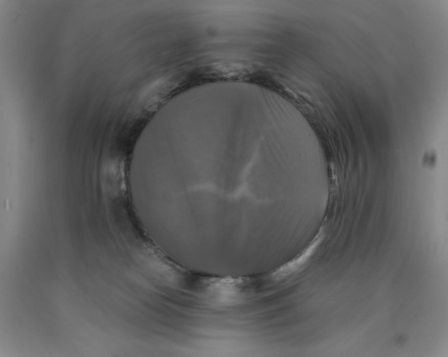 X0000089920182200707271744