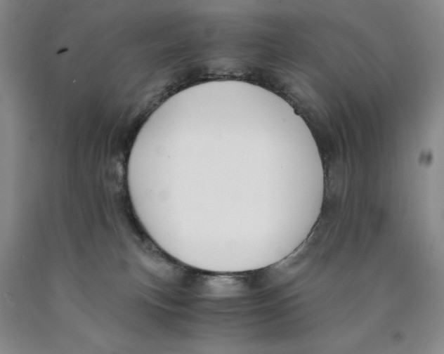 X0000089920183200707271744