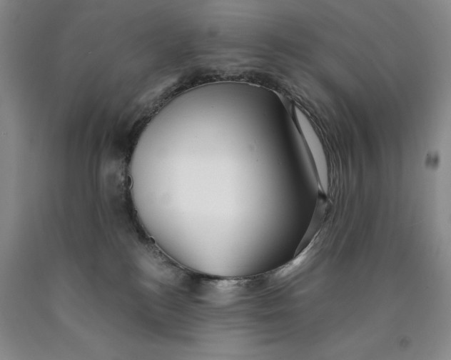 X0000089920184200707271744