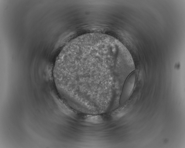 X0000089920185200707271744