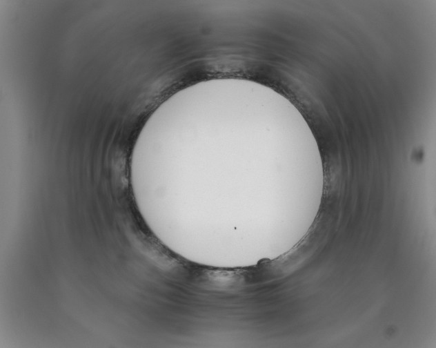 X0000089920187200707271744