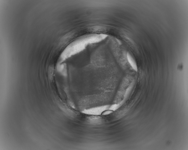 X0000089920189200707271744