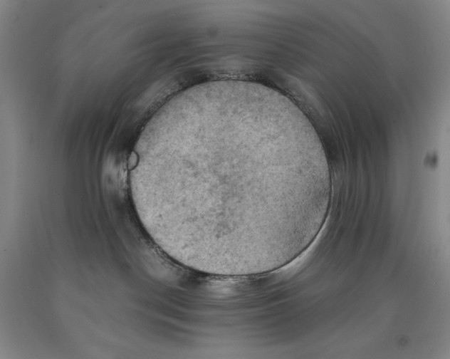 X0000089920190200707271744