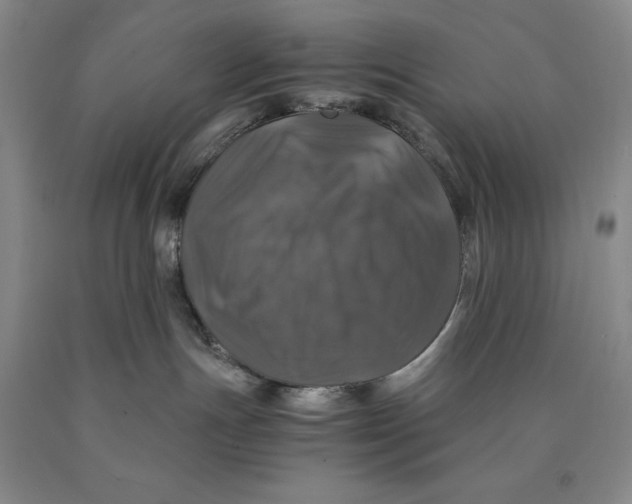 X0000089920191200707271744