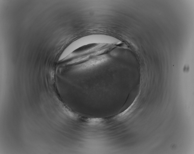 X0000089920192200707271744