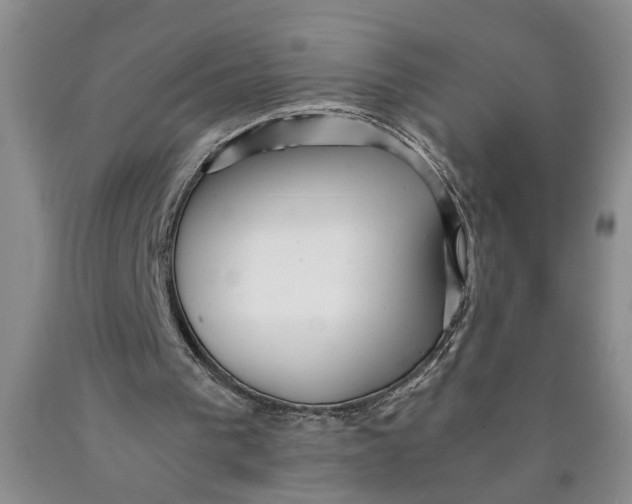 X0000089920193200707271743