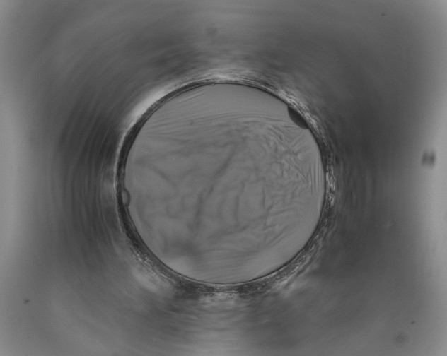 X0000089920196200707271743