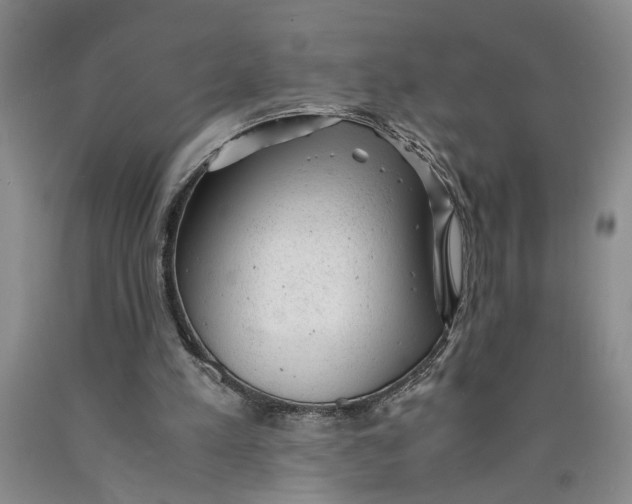 X0000089920197200707271743