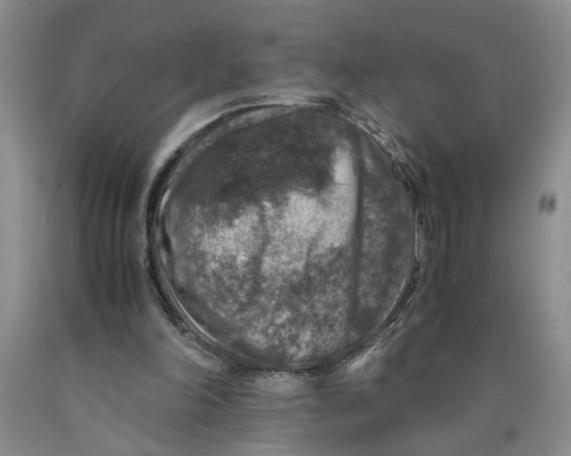 X0000089920198200707271743