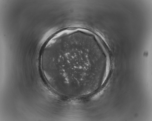 X0000089920199200707271743