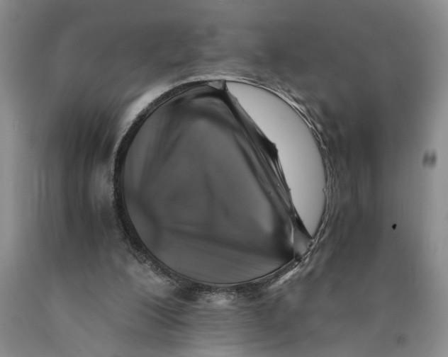 X0000089920200200707271743