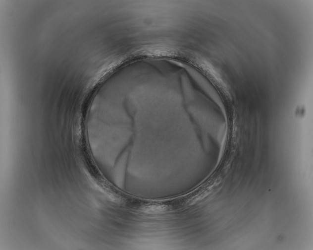 X0000089920202200707271743