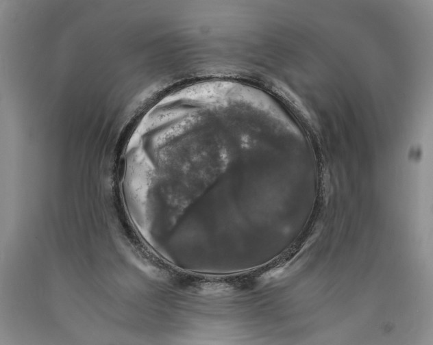 X0000089920203200707271743