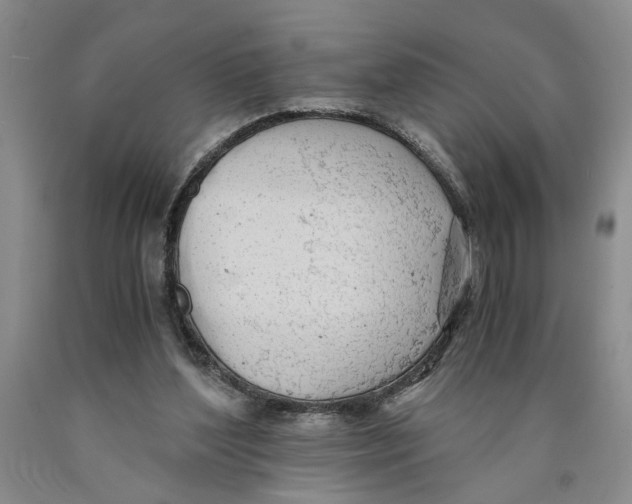 X0000089920204200707271743