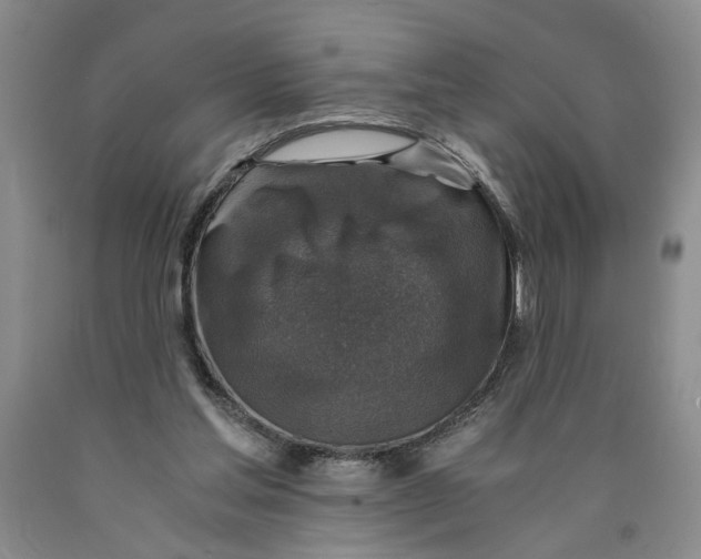 X0000089920205200707271743