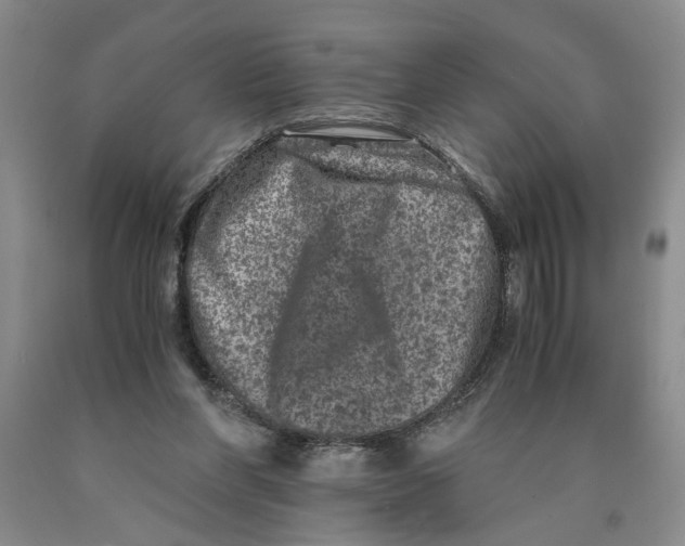 X0000089920206200707271743