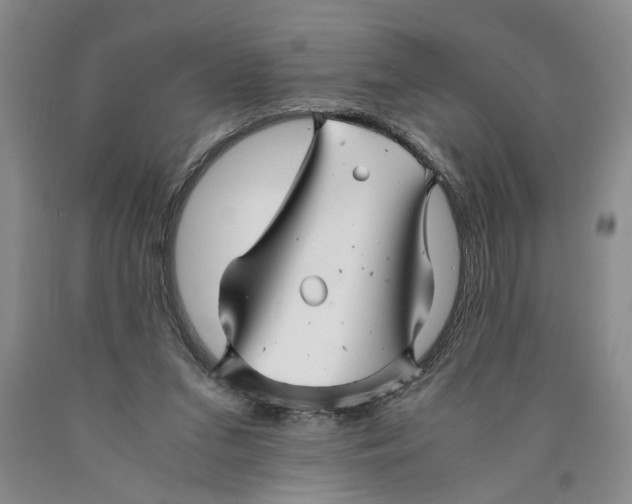 X0000089920207200707271743