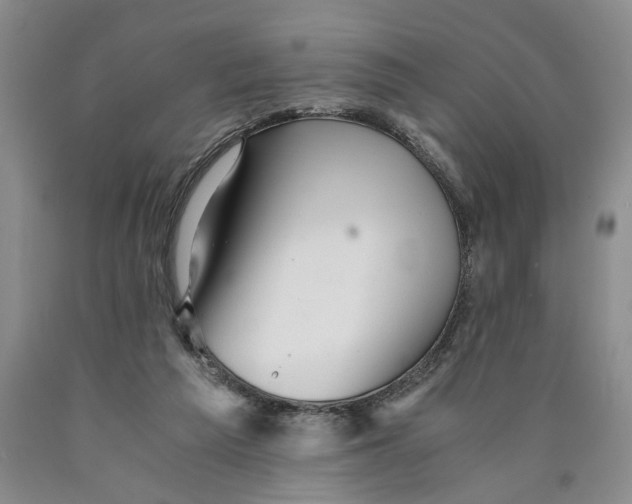 X0000089920209200707271743