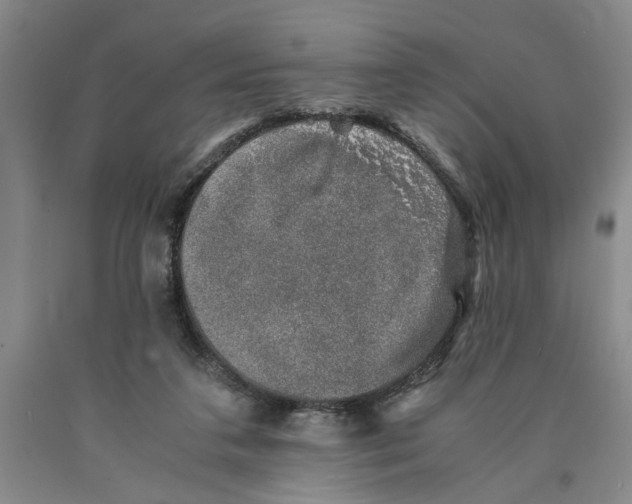 X0000089920211200707271743