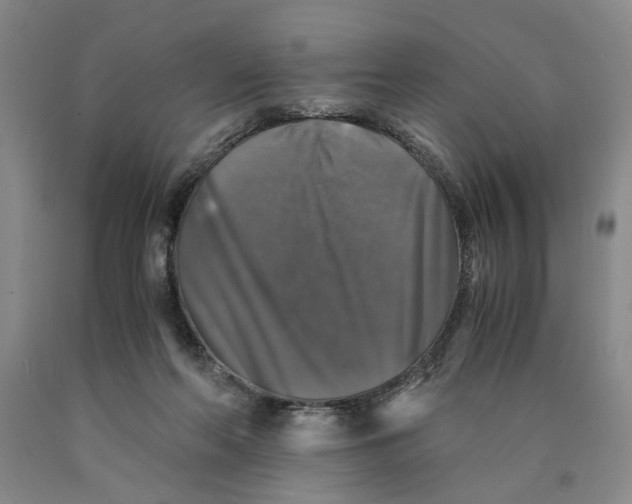 X0000089920214200707271743