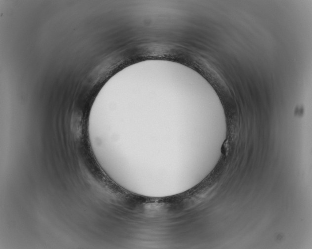 X0000089920216200707271743