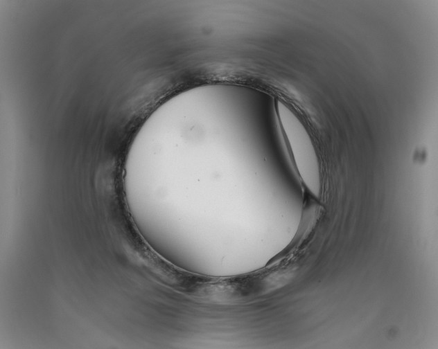 X0000089920217200707271743