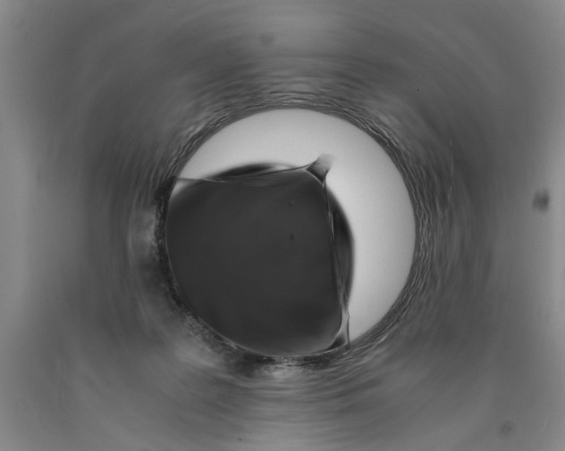 X0000089920219200707271743