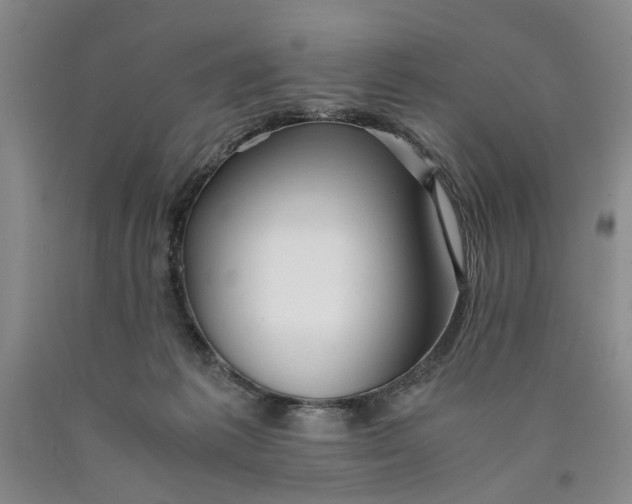 X0000089920221200707271743