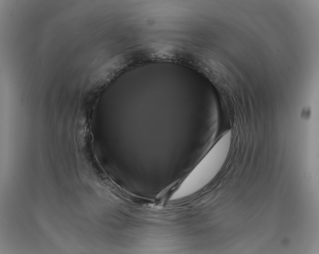 X0000089920223200707271743