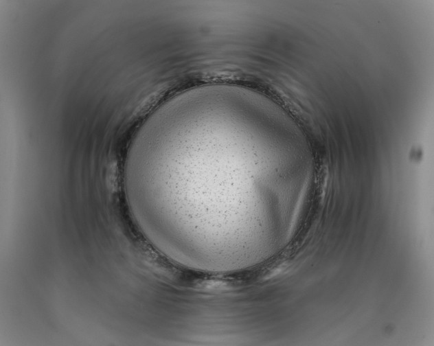 X0000089920224200707271743