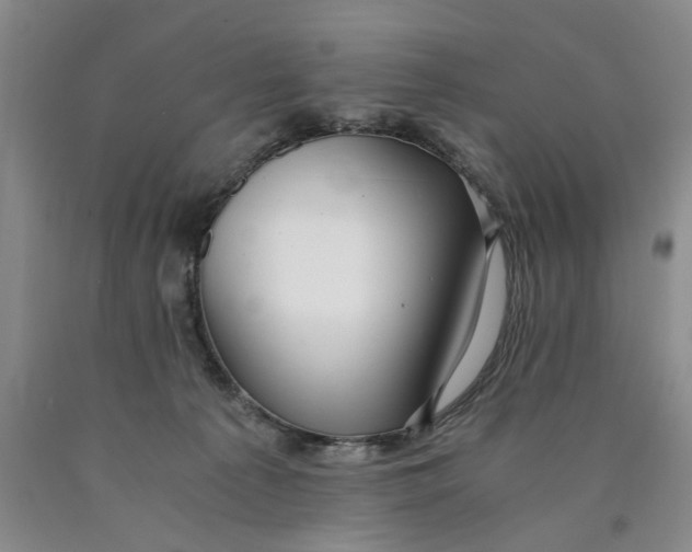 X0000089920225200707271743