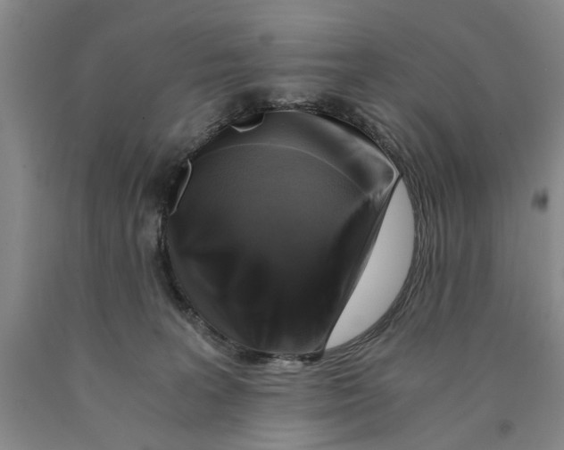 X0000089920227200707271743