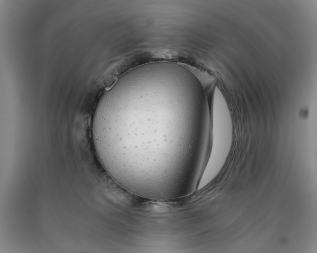 X0000089920229200707271743